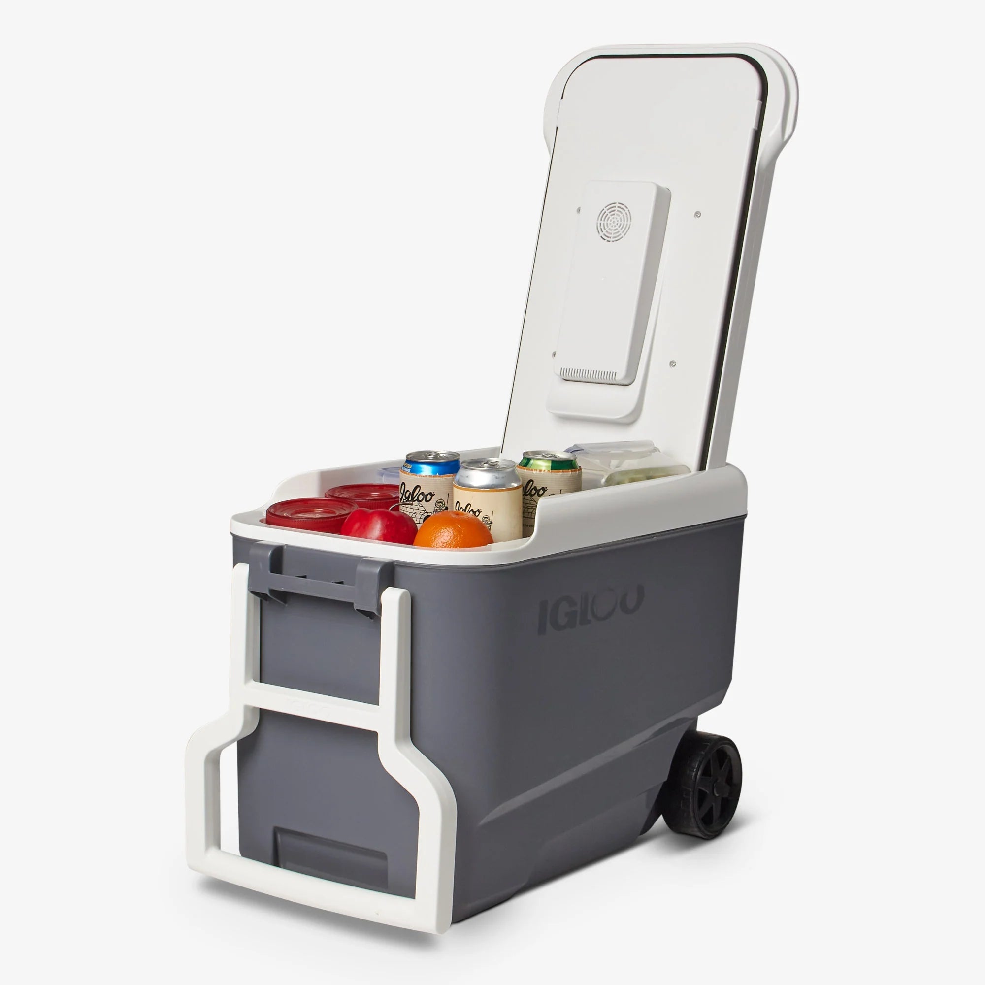 Igloo Large Cooler Insulated Cooler Durable Cooler Versatemp™ 35 Qt Wheeled Electric Cooler - Image 6