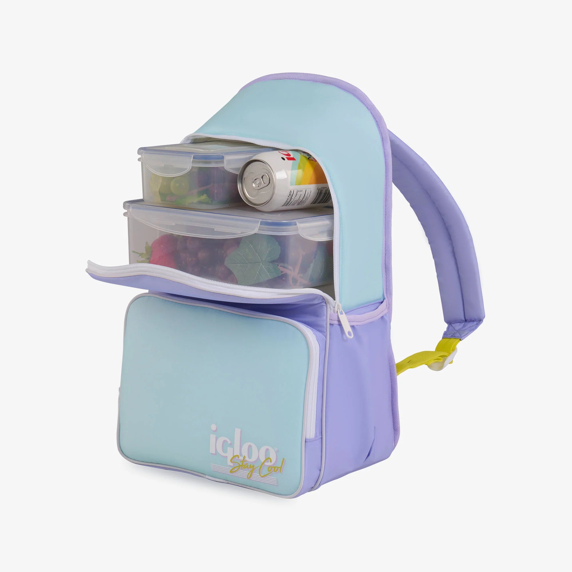 Igloo Insulated Cooler Durable Cooler Retro Backpack Cooler - Image 25