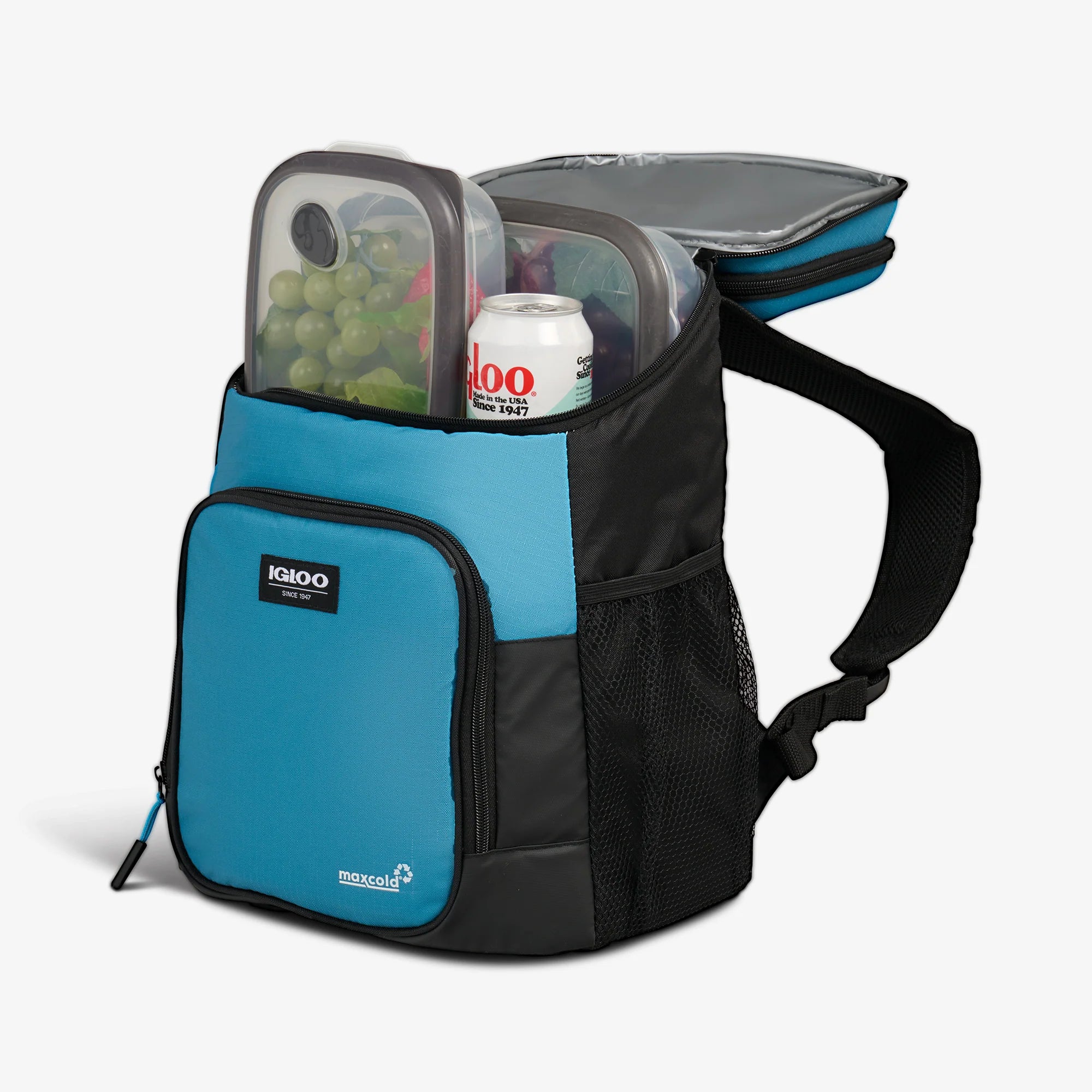 Igloo Insulated Cooler Durable Cooler Latitude Hardtop 18-Can Backpack - Image 10