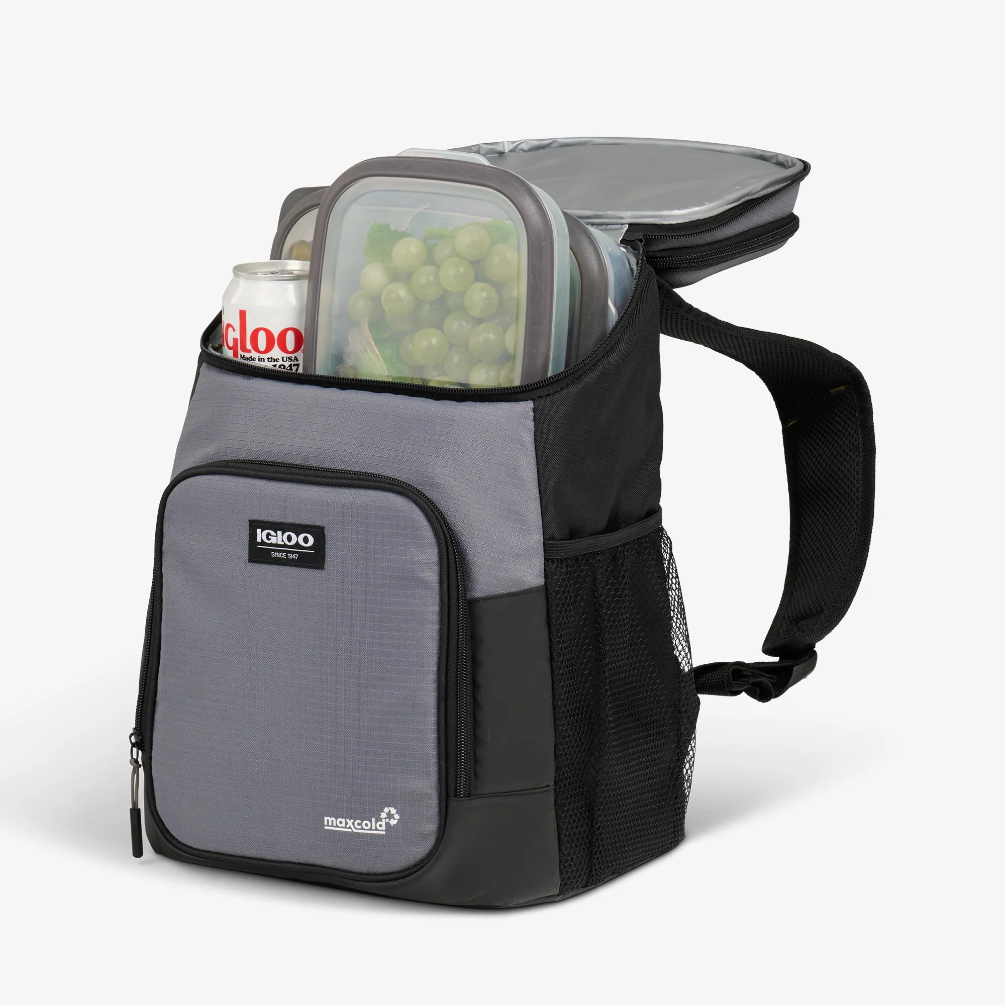Igloo Insulated Cooler Durable Cooler Latitude Hardtop 18-Can Backpack - Image 4